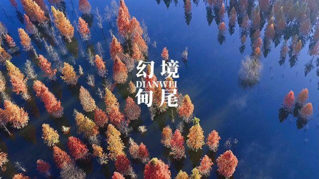 永靖县圆满完成2024年教师能力提升监测